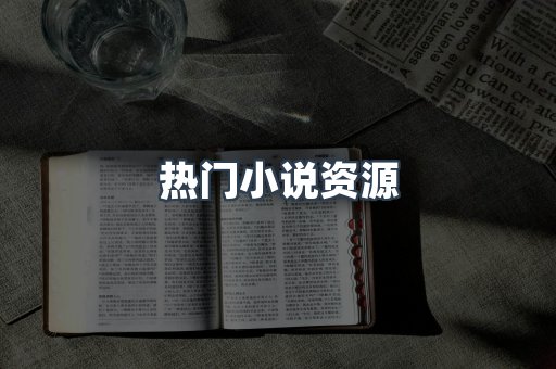 热门小说资源